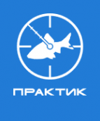 Логотип компании Практик-НЦ