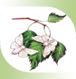 Логотип компании Магазин тканей